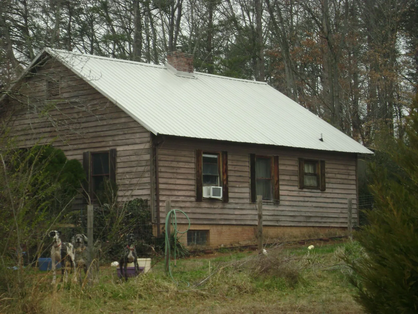 White metal roof on an old wood sided farmhouse, from a Metal Roof Installation job in Shelburne Falls